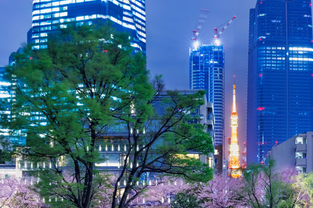 The city of Tokyo at night with cherry blossoms in full bloomの写真素材