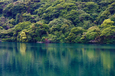 Water surface of dam and fresh green treesの写真素材