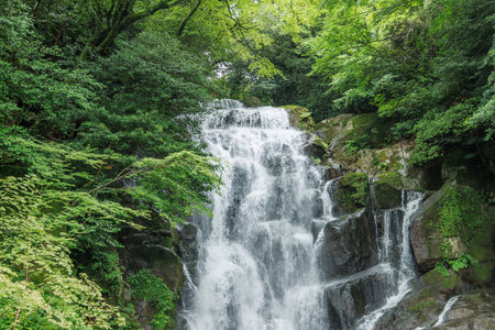 Waterfall full of negative ions in Fukuoka Prefecture (Itoshima Shiraito Falls)の写真素材