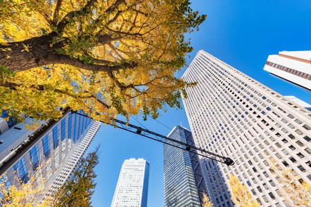 Buildings and trees with autumn leaves in Tokyoの写真素材