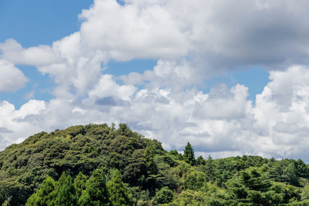 Fresh green, blue sky and clouds