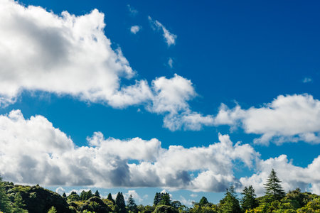 Fresh green, blue sky and clouds
