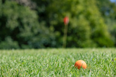 A golf course with beautiful fresh greeneryの写真素材