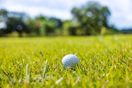 A golf course with beautiful fresh greeneryの写真素材