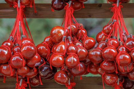 A lot of beautiful red gourdsの写真素材