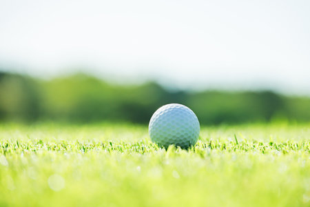 A golf course with a beautiful fresh green lawnの写真素材