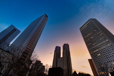 Shinjuku high-rise buildings at sunset, Tokyo, Japanの写真素材