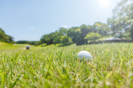 A golf course with beautiful fresh green grassの写真素材