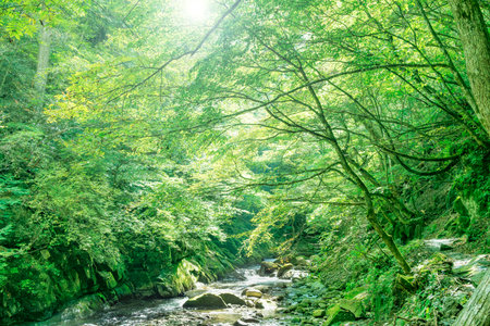 View of Nishizawa Valley, Yamanashi Prefecture