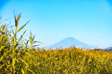 Mt.Fuji with blue sky, Fujiyoshida, Japanの写真素材