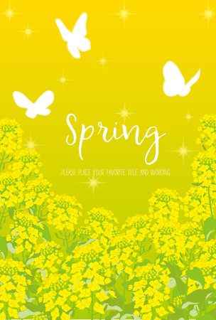 Background material for illustration of rape flowers and butterflies in springのイラスト素材