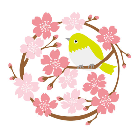 Simple background material of cherry blossoms in full bloom and whitetailsのイラスト素材