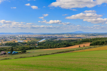 Panoramic view of the village and fields in the countryside.の写真素材