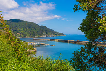 Panoramic view of the portの写真素材