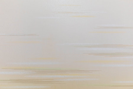 Japanese style pattern on fusumaの写真素材
