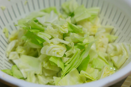 Cabbage salad in a white bowl, ready to be cooked.の写真素材