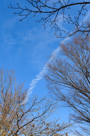 Sunny winter sky and contrailsの写真素材