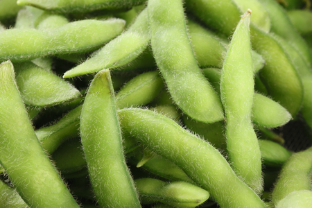 green soy beansの写真素材
