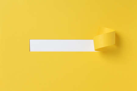 Torn color wrapped paper with space for your messageの写真素材