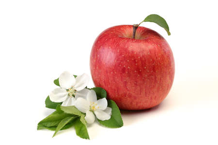 ripe red apple with a green leaf isolated on white backgroundの写真素材