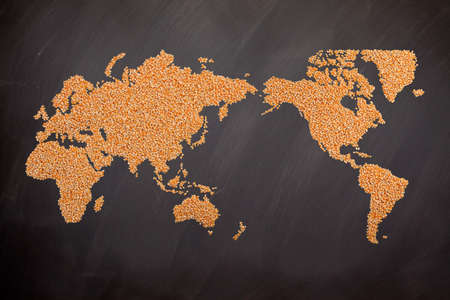 World map made of corn isolated on Blackboardの写真素材