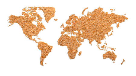 World map made of corn isolated on whiteの写真素材