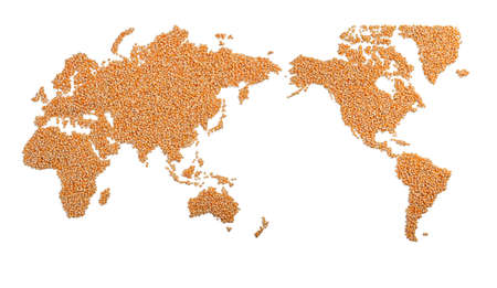 World map made of corn isolated on white with clipping pathãの写真素材