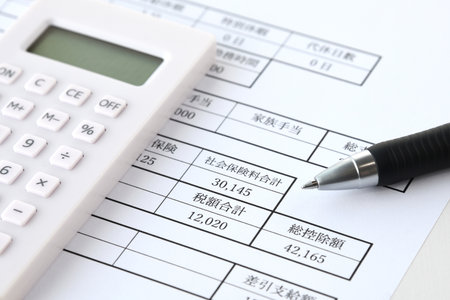 Payslip - Close-up of the total social insurance premium