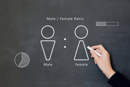 A man's hand drawing a picture of the gender ratio on a blackboardの写真素材