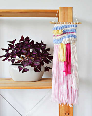 Colorful hand woven wall hanging and purple oxalis triangularis house plant in gray ceramic pot on the wooden shelfの写真素材