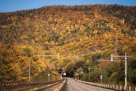 Autumn Leaves at Sounkyo, Hokkaidoの写真素材