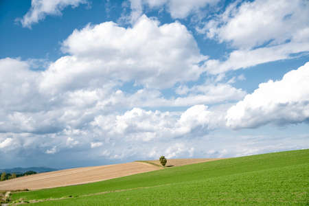 Autmn Leaves at Blue Lake in Biei, Hokkaidoの写真素材