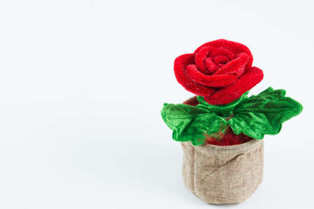 Red roses in a bag on whiteの写真素材