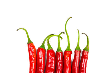 Red chilli peppers on white backgroundの写真素材
