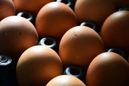 Brown chicken eggs in carton egg plastic box.