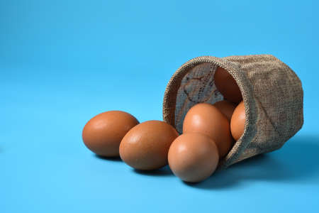 Fresh eggs in a sack bag on blue background.