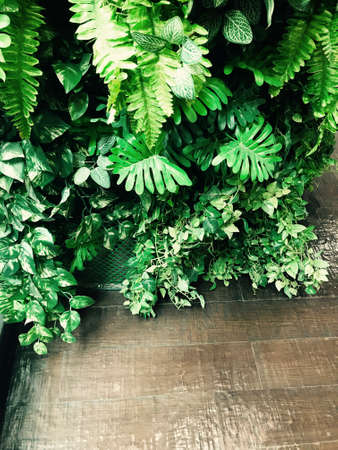 Artificial green shrub for wedding decorative backdrop