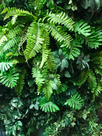 Artificial green shrub for wedding decorative backdrop
