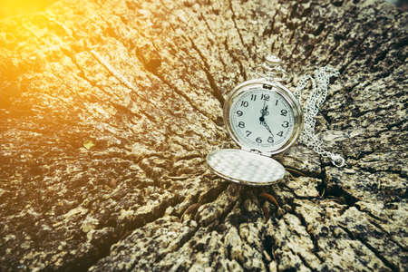 Pocket watch on an old tree stumpの写真素材