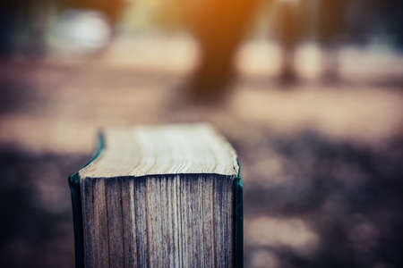 Ancient books on a Stump , literacy and knowledge concept