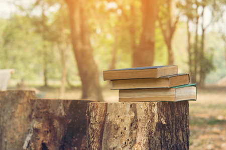 Ancient books on a Stump , literacy and knowledge conceptの写真素材