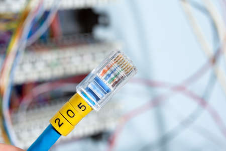 Close-up of computer network cable with RJ45 plugs.