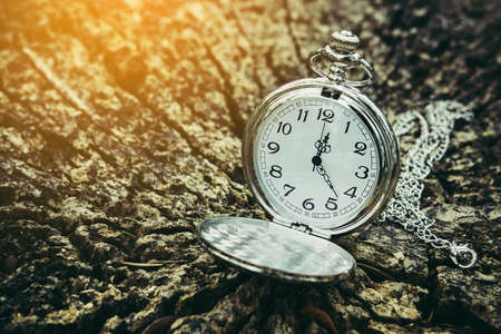 Pocket watch on an old tree stump