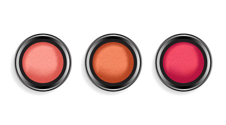 Cheek blush powder compact palette realistic isolated on white background. Decorative cosmetics. Face powder or eye shadows in black box. Vector illustration EPS 10.のイラスト素材