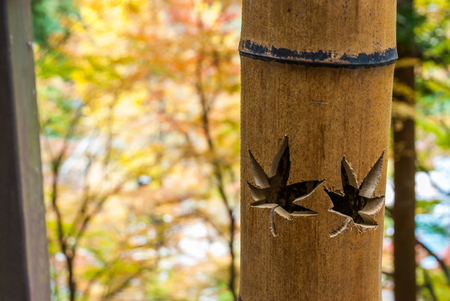 Maple sign on bamboo stick at Korankei, Japanの写真素材