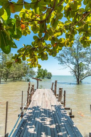 Wood bridge to the sea, at Phuket Thailandの写真素材