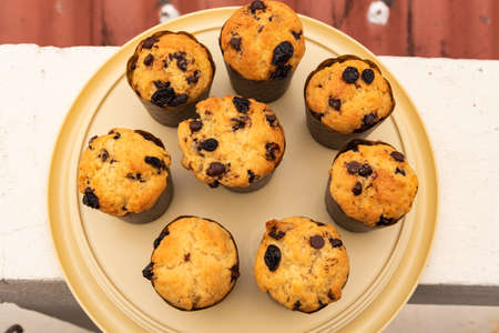 Homemade chocolate chip and raisin muffins in paper cup.の写真素材