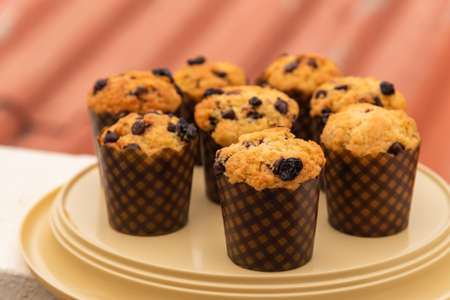 Homemade chocolate chip and raisin muffins in paper cup.