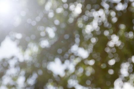 Bokeh background, light, treeの写真素材
