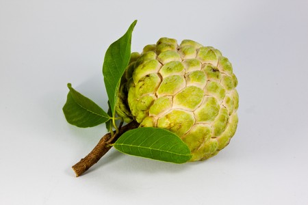 Custard Apple with Leavesの写真素材
